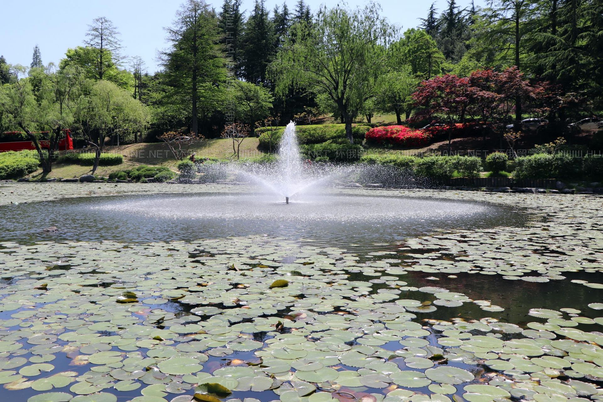 浦項科技大學(xué)