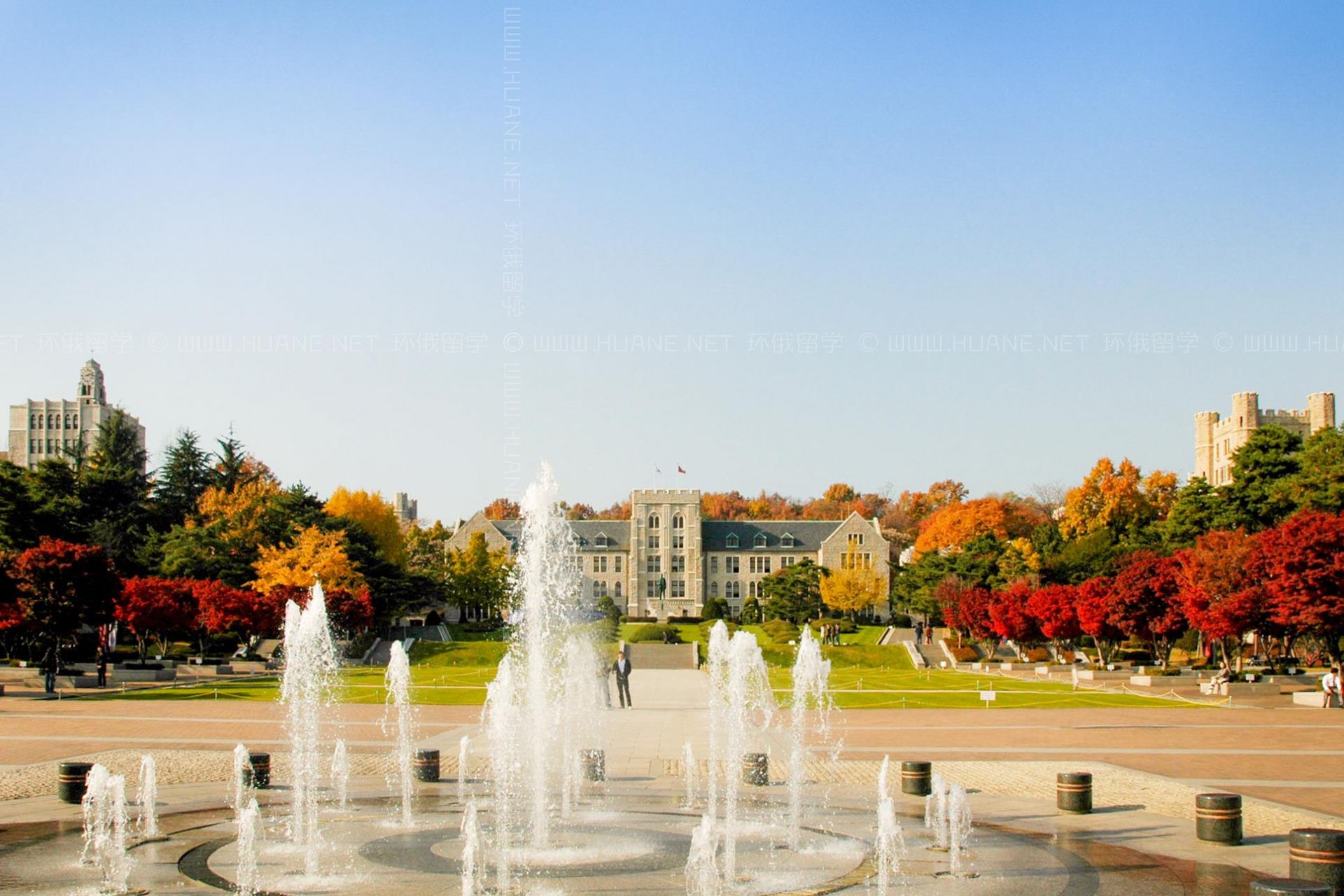 高麗大學（韓國大學）