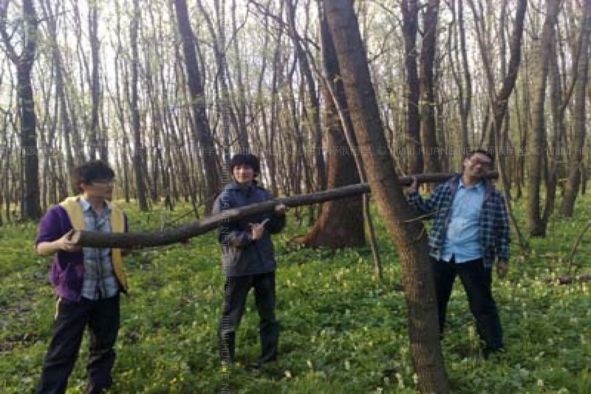 哈爾科夫國(guó)立文化大學(xué)