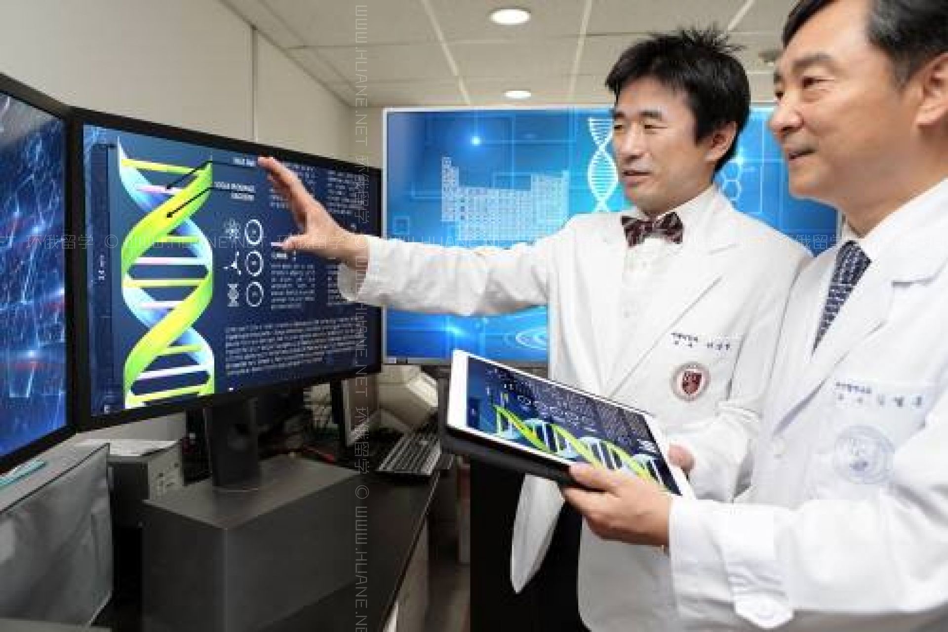 高麗大學（韓國大學）