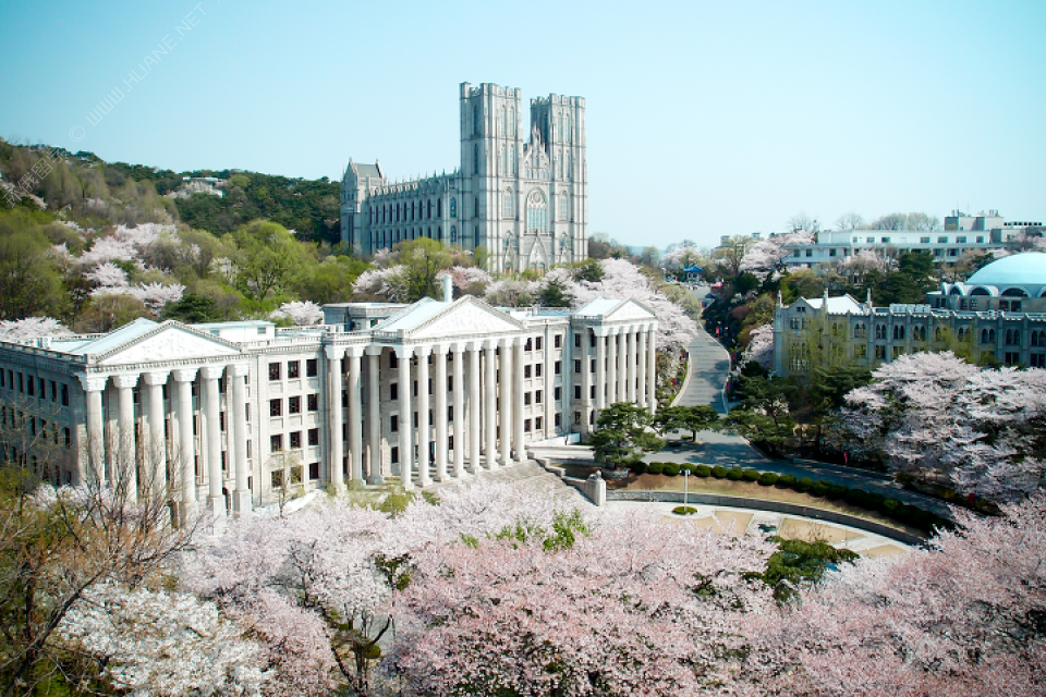 慶熙大學(xué)