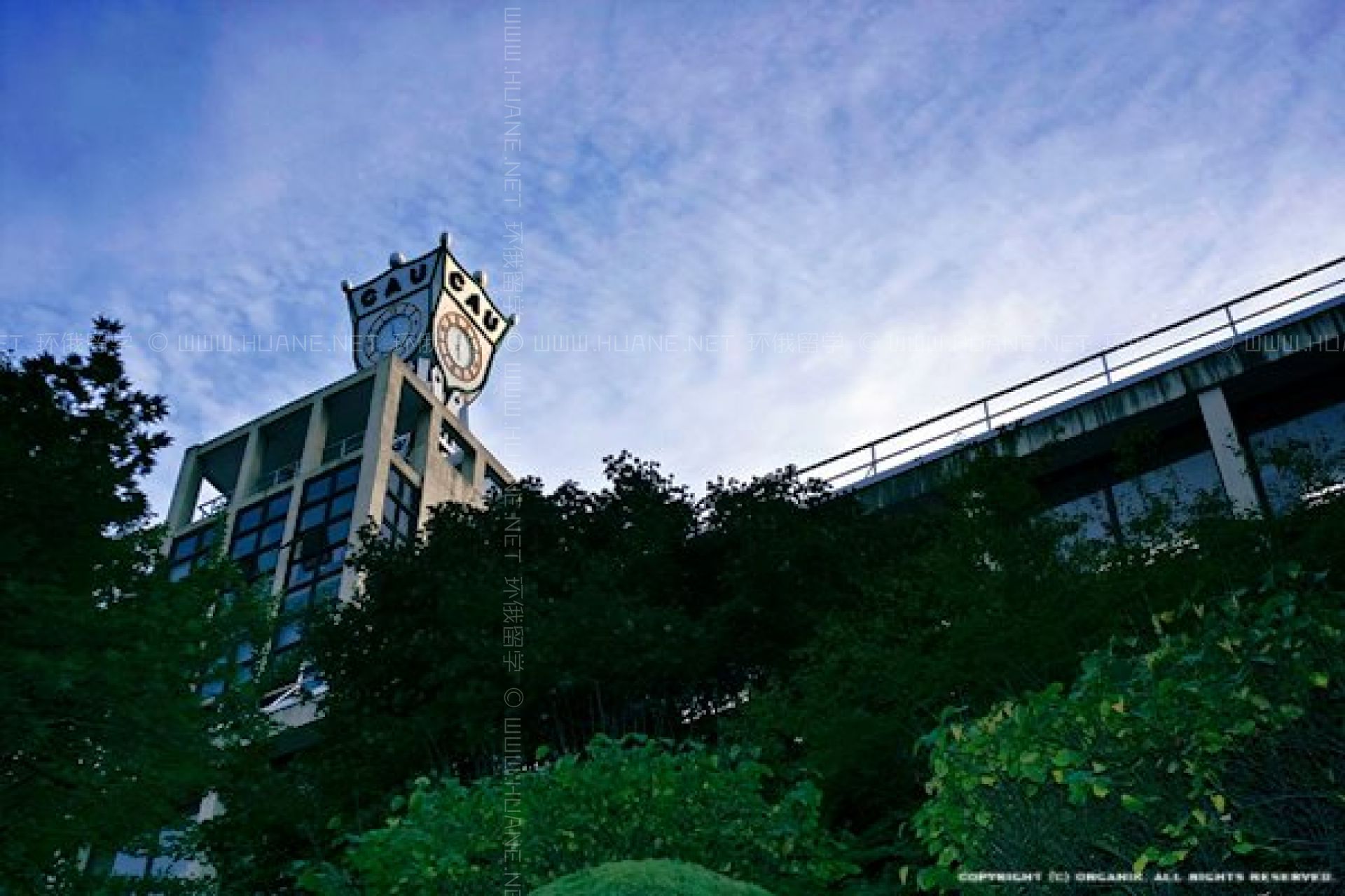 中央大學(xué)