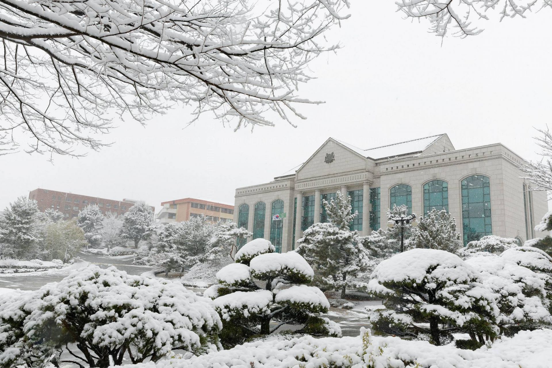 蔚山大學(xué)