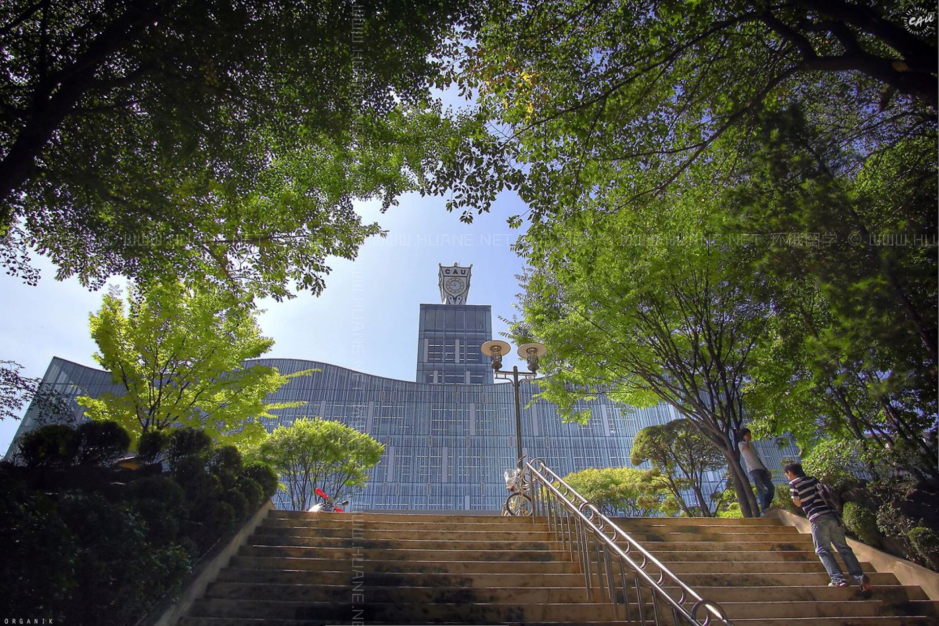 中央大學(xué)