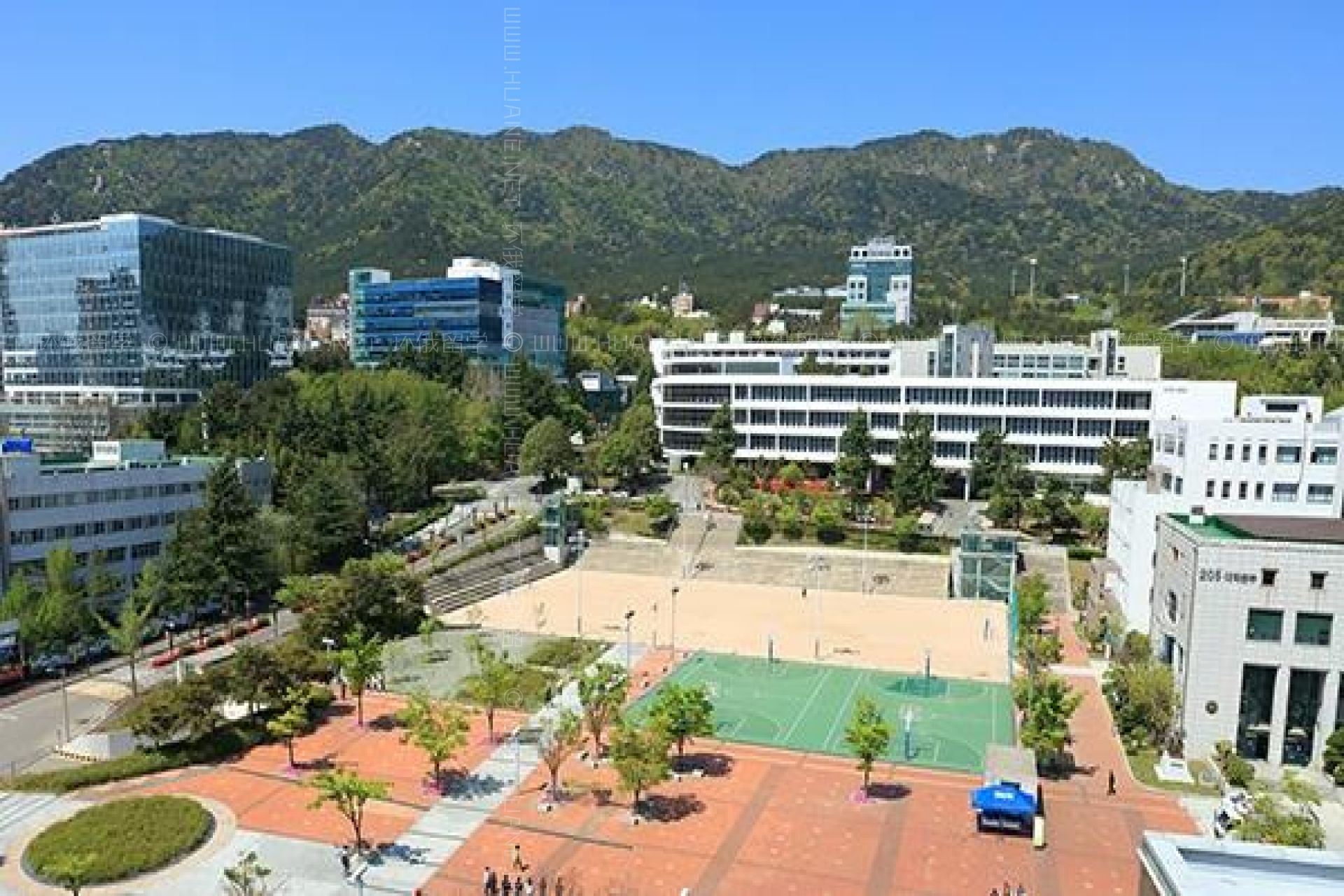 釜山大學(xué)