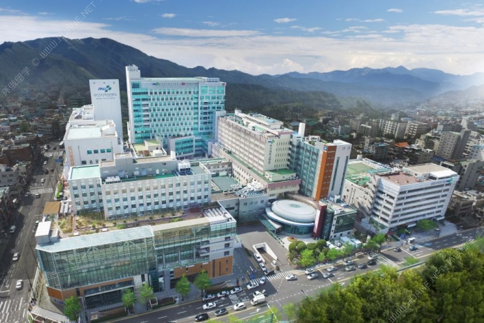 釜山大學(xué)