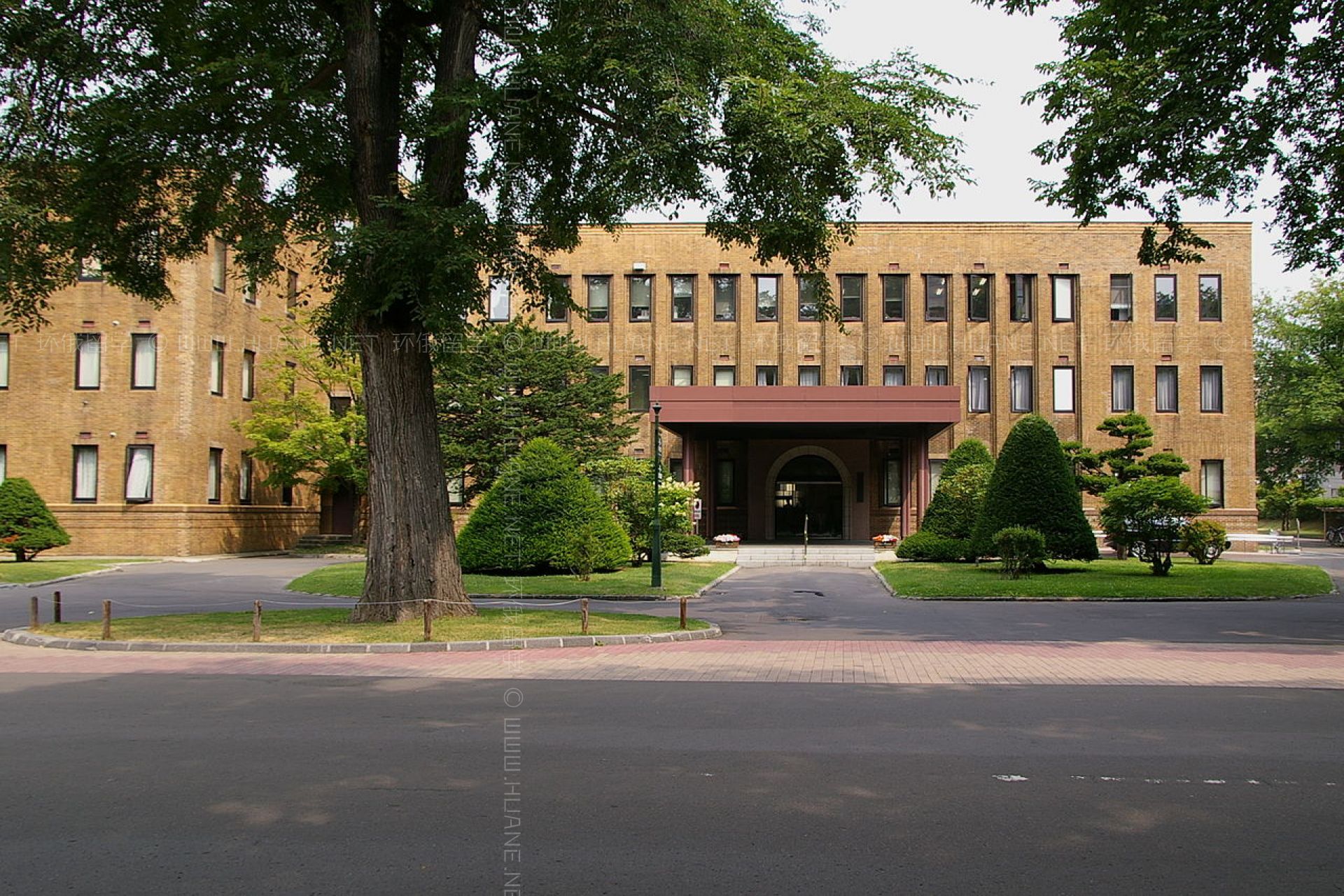 北海道大學(xué)