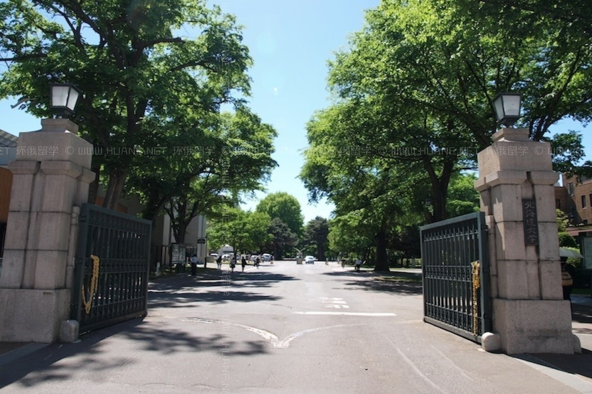 北海道大學(xué)