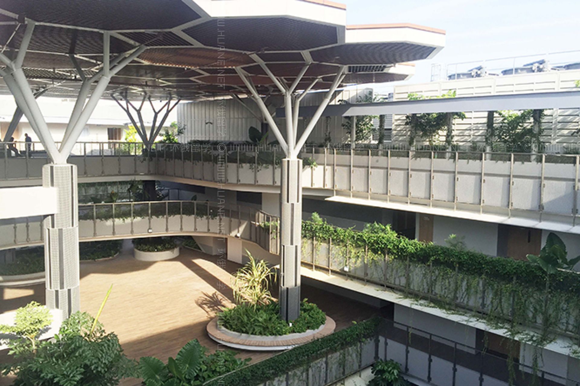 新加坡南洋理工大學(xué)