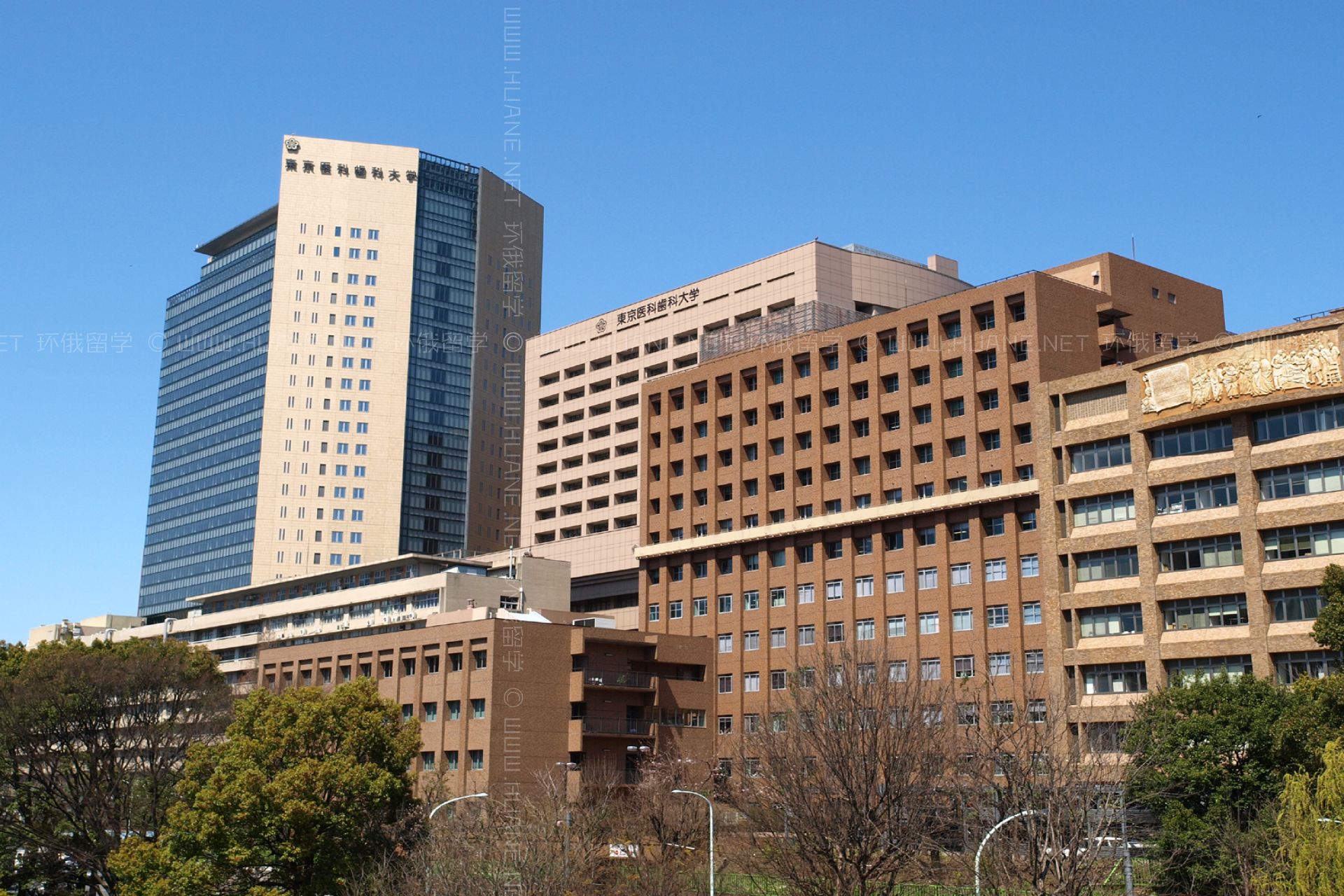 東京醫(yī)科齒科大學