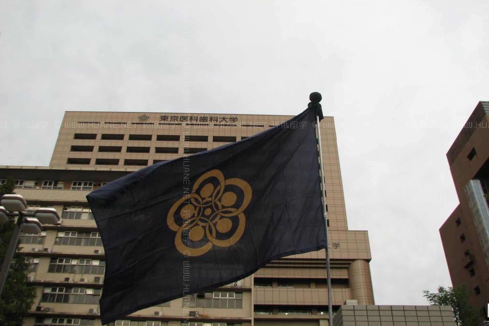 東京醫(yī)科齒科大學