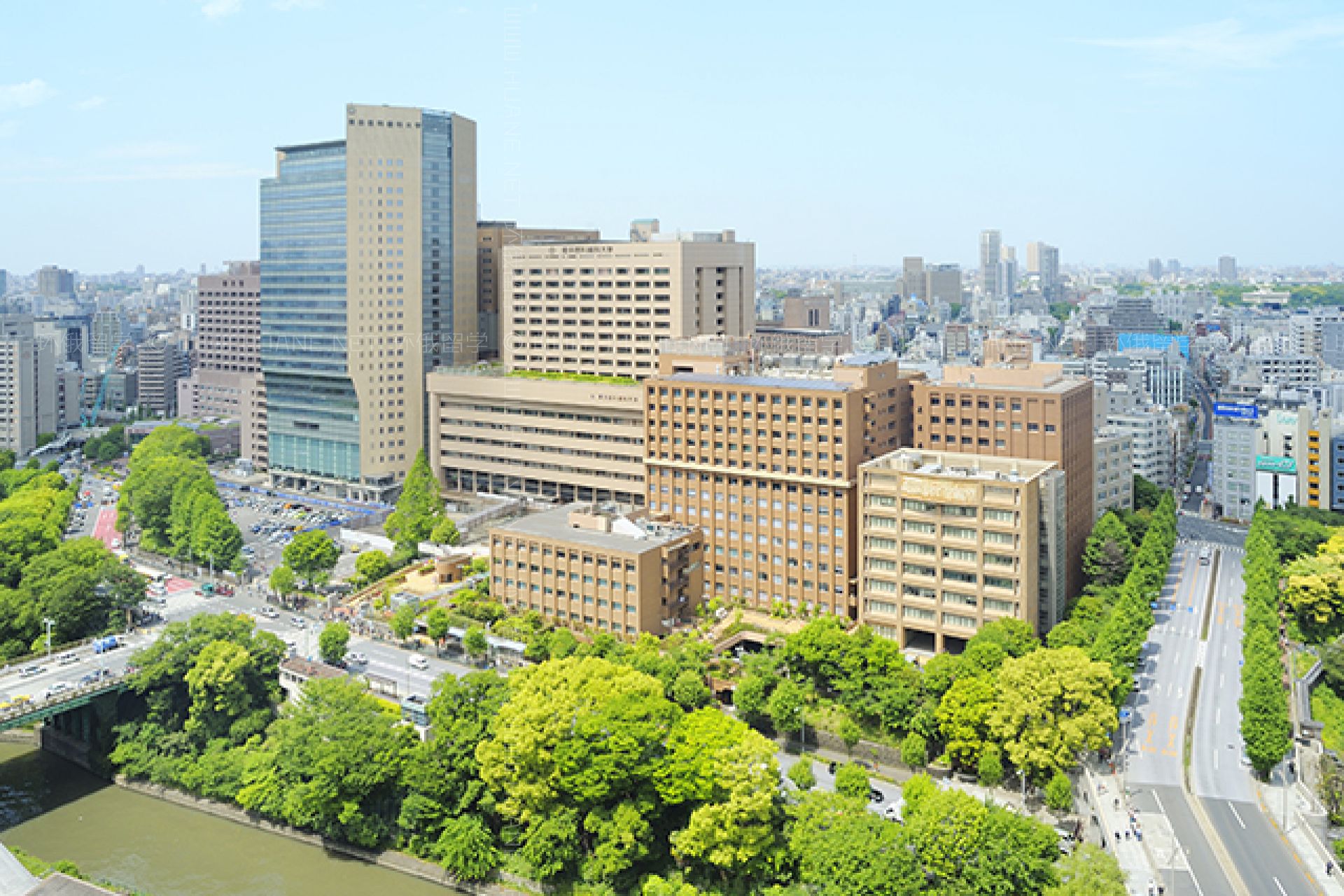 東京醫(yī)科齒科大學