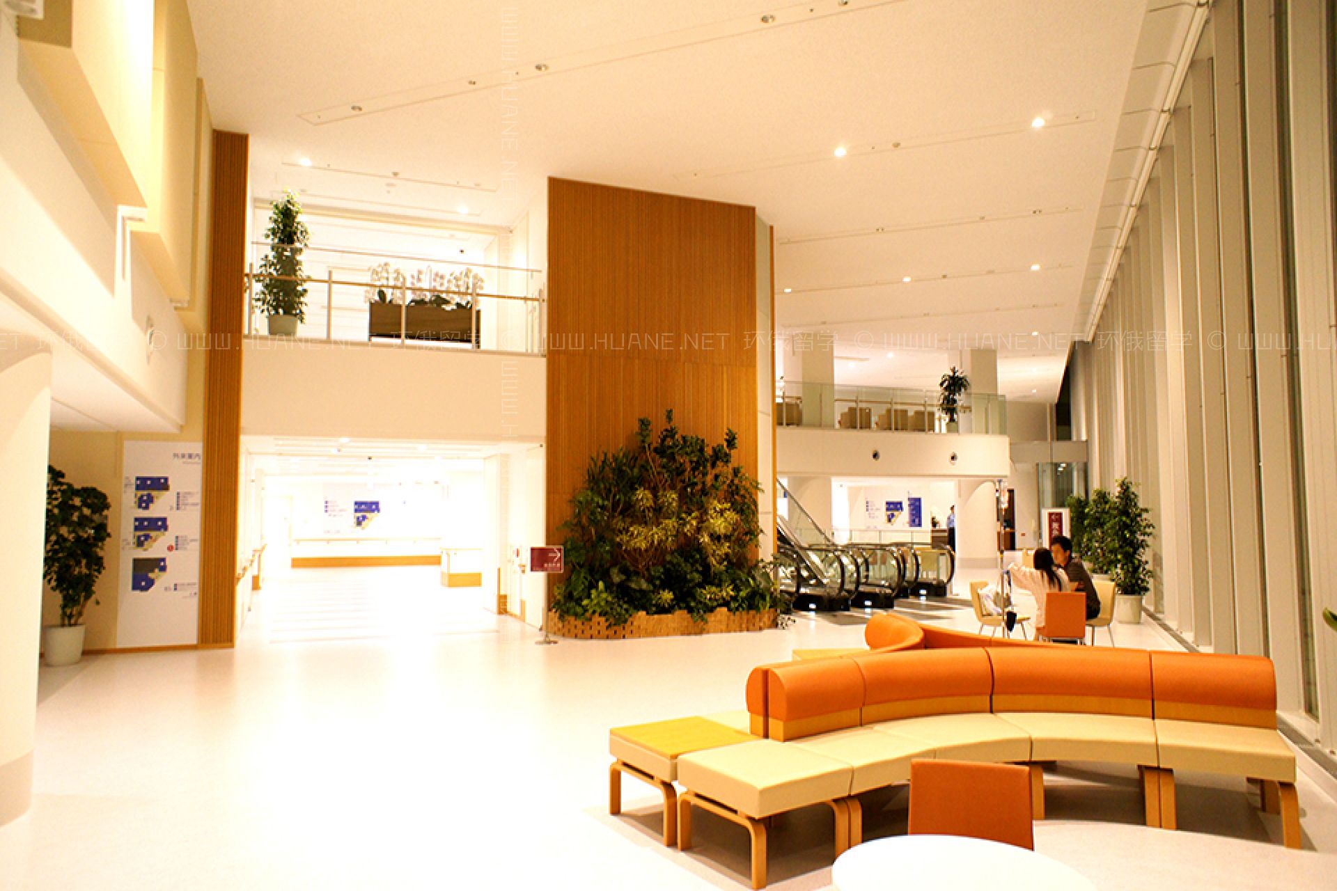 藤田醫(yī)科大學