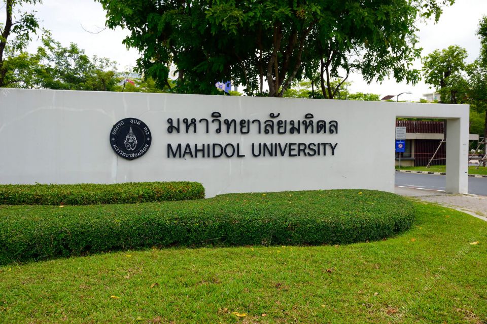 馬希隆大學
