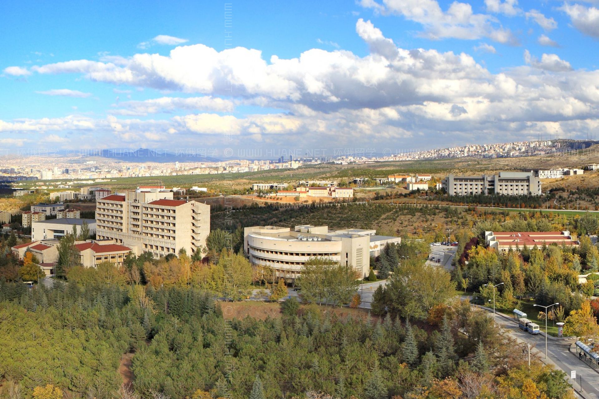 比爾肯特大學