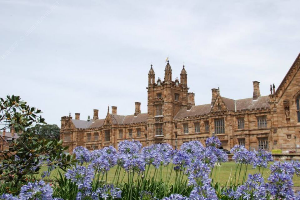 悉尼大學
