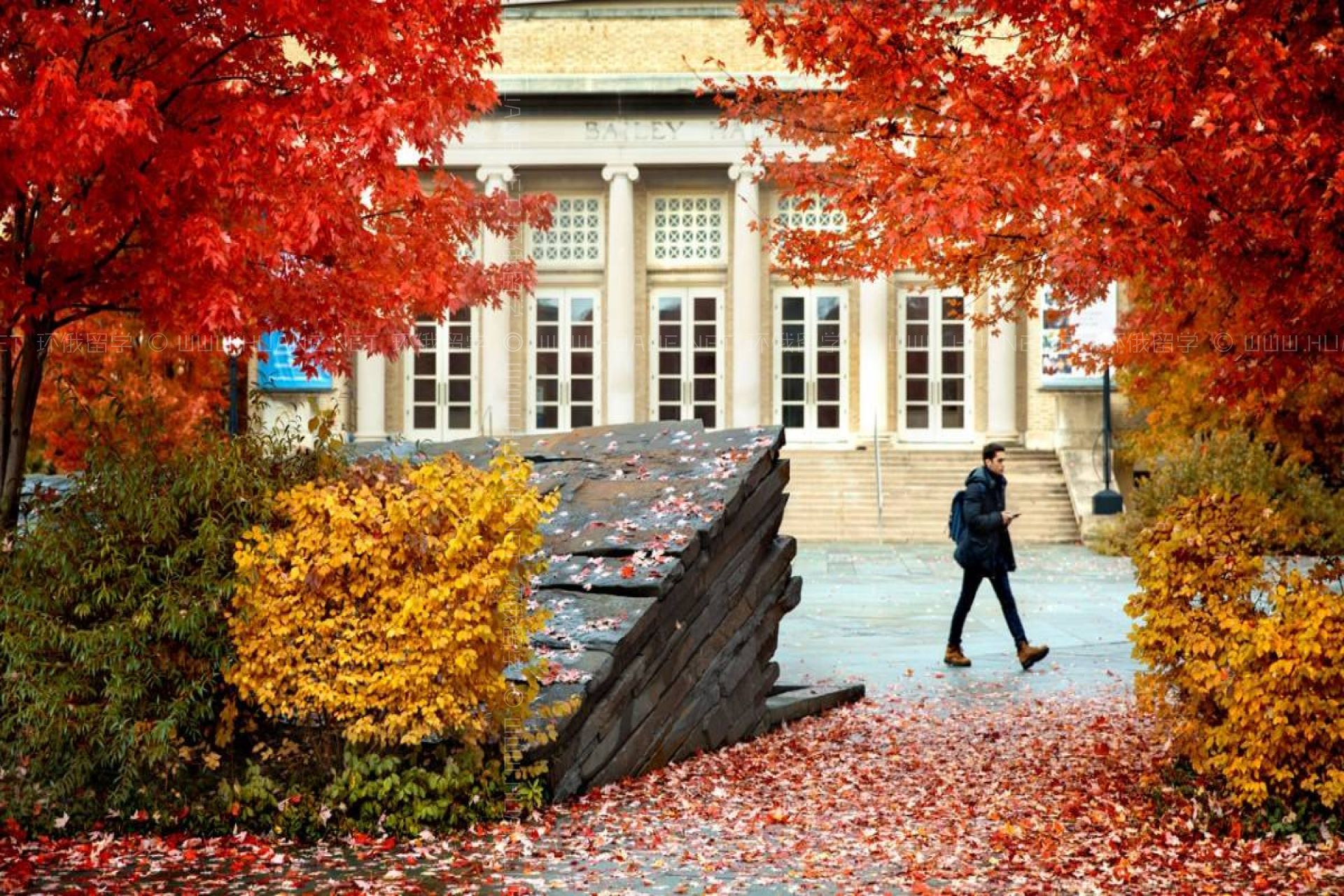 康奈爾大學