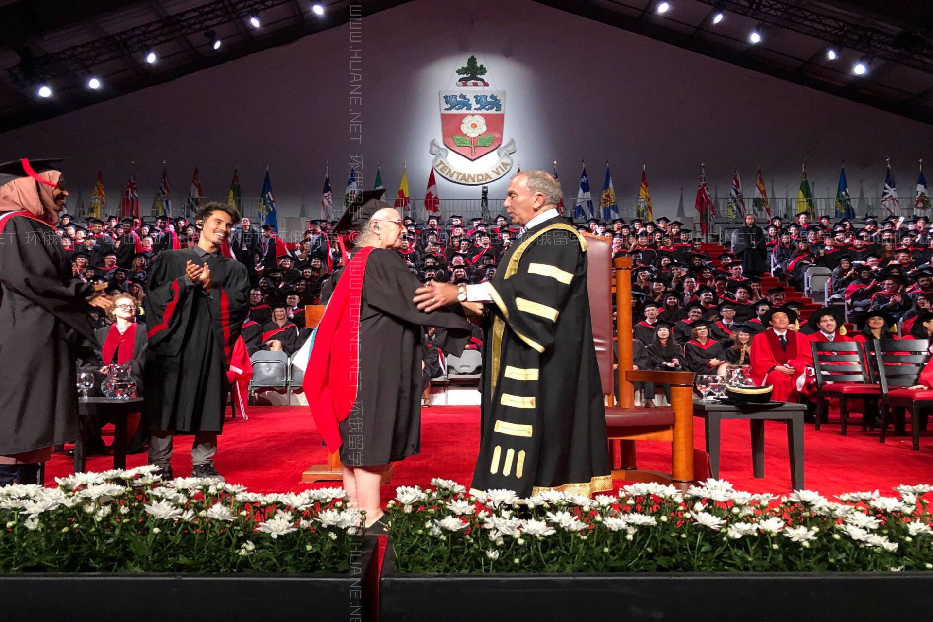 約克大學