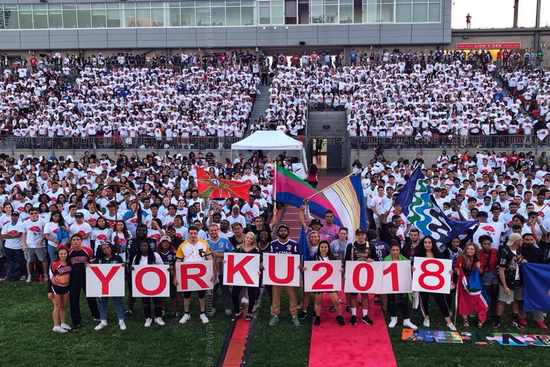 約克大學