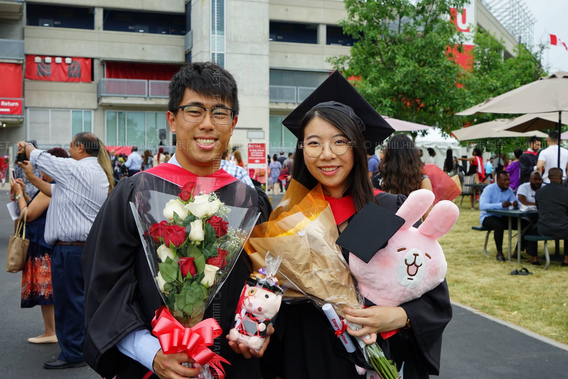 約克大學