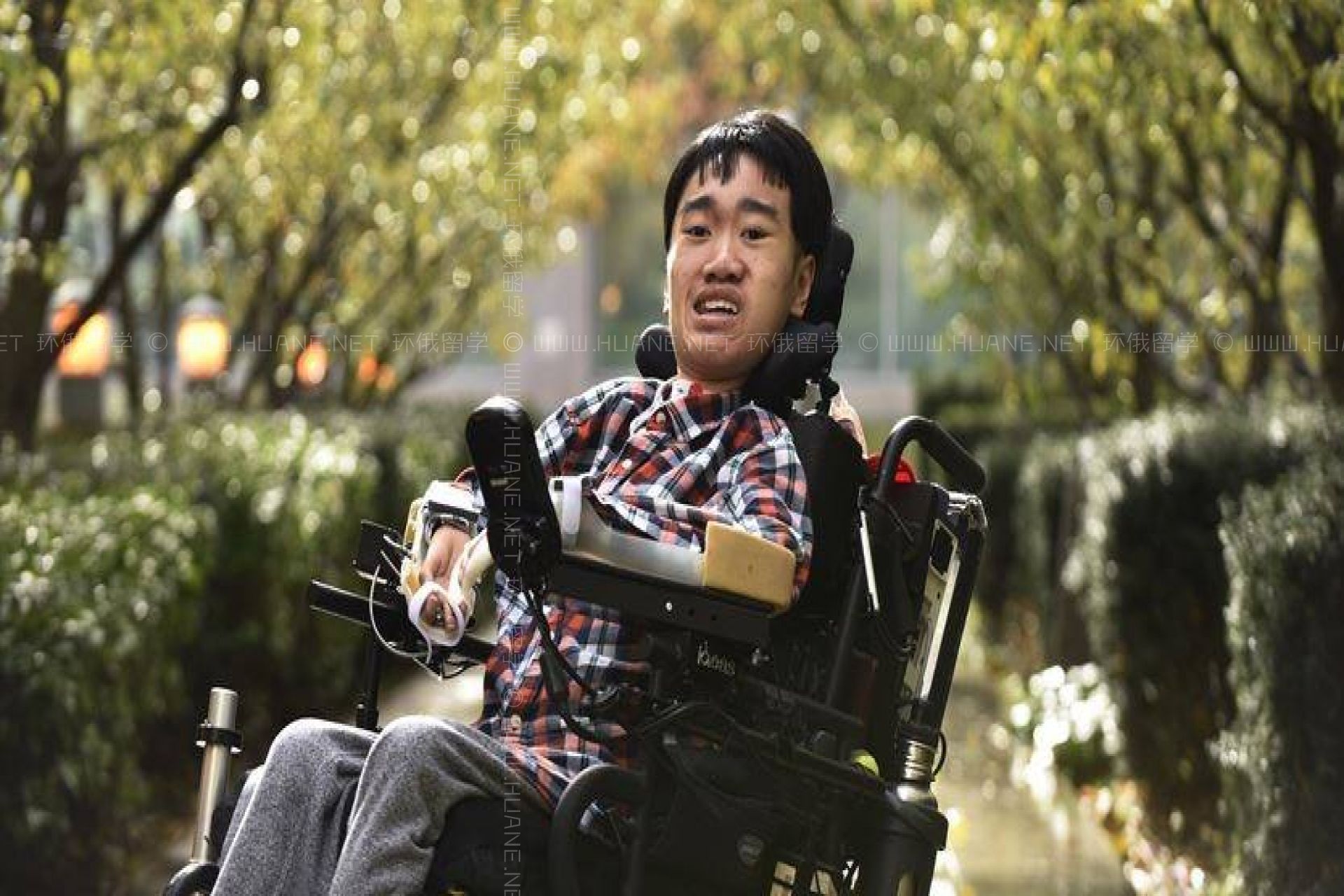 約克大學