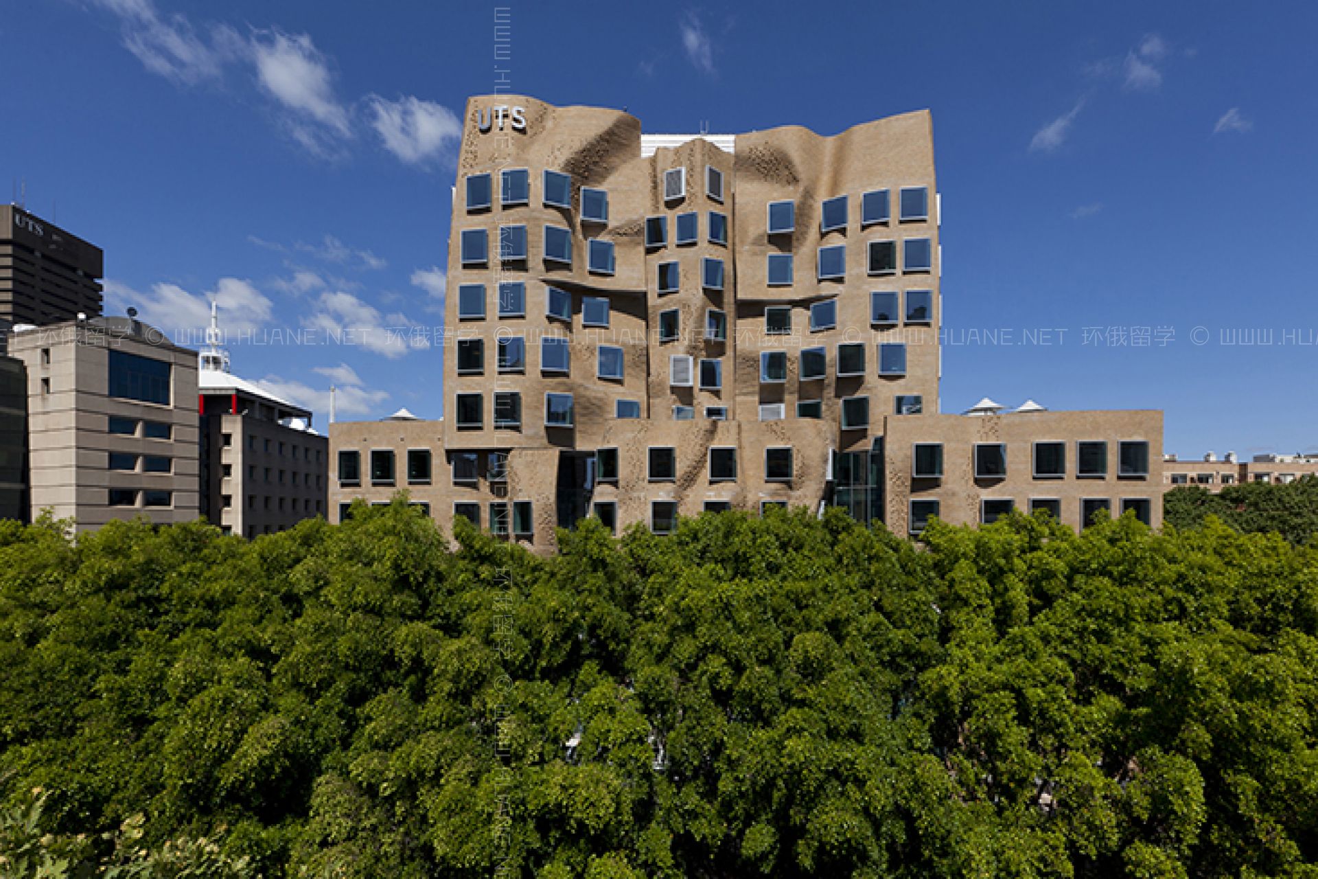 悉尼科技大學