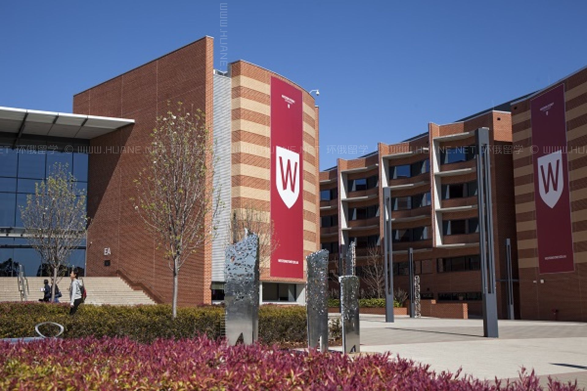 麥考瑞大學(xué)