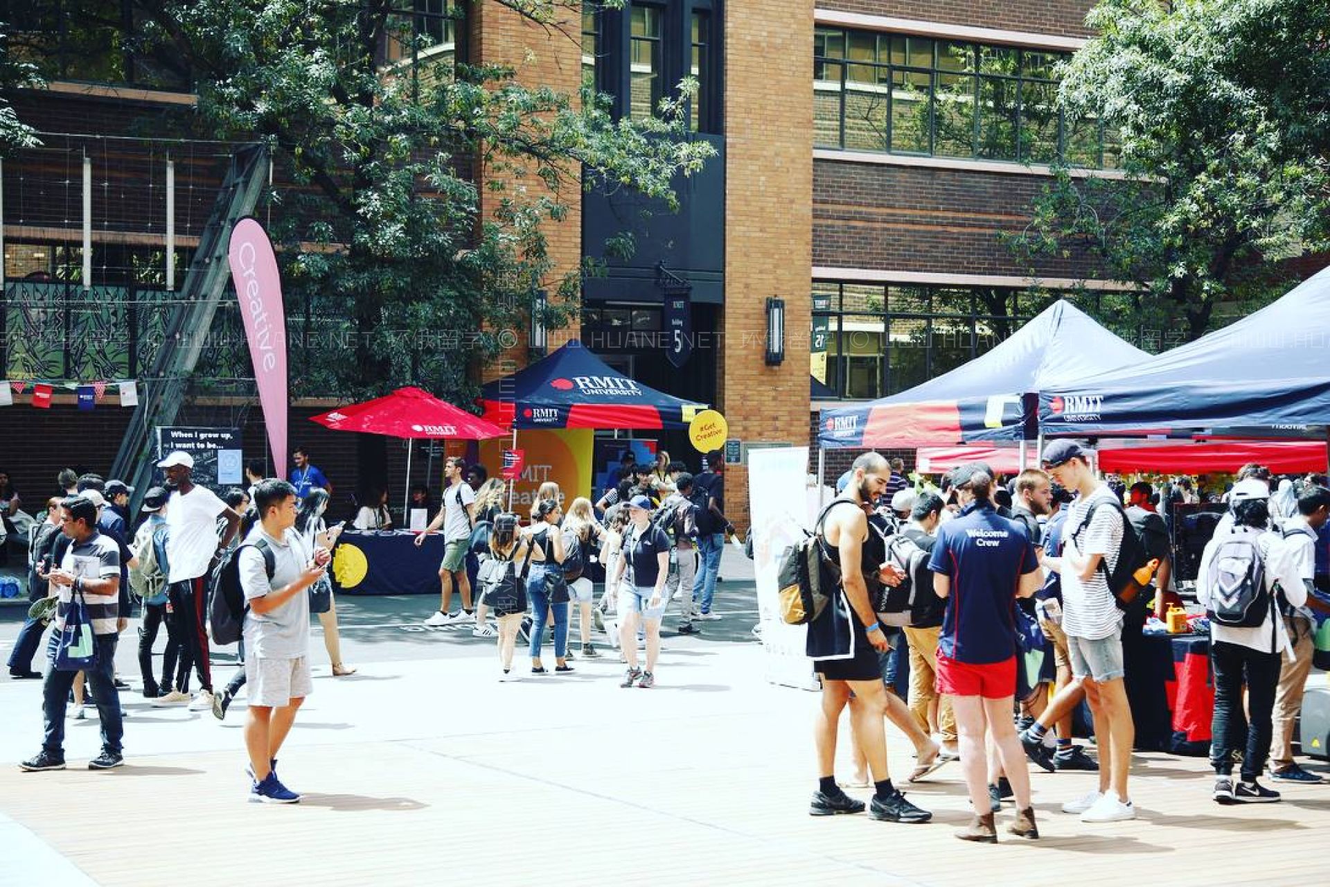 皇家墨爾本理工大學