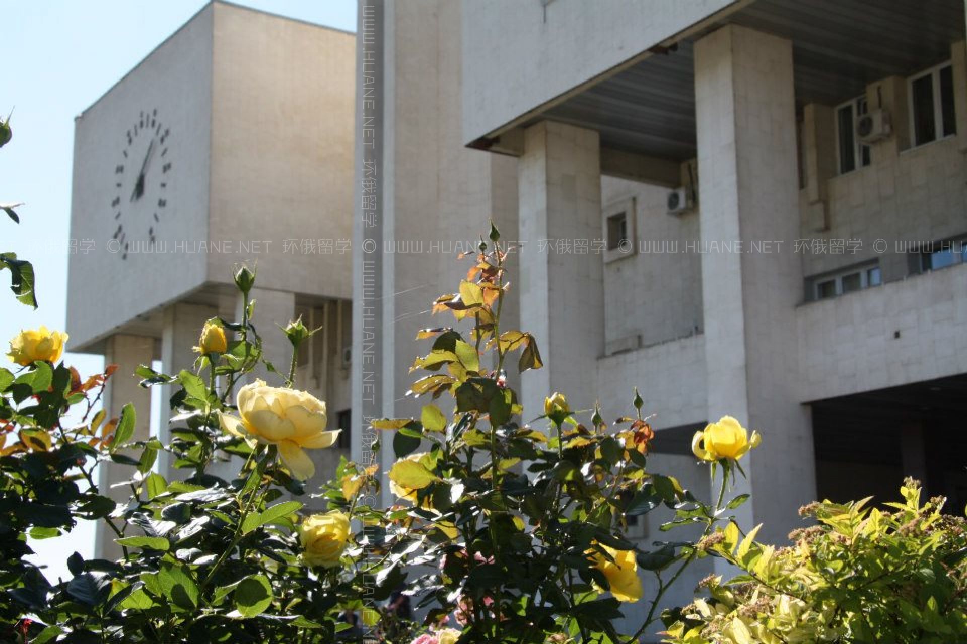 伏爾加格勒國立大學(xué)