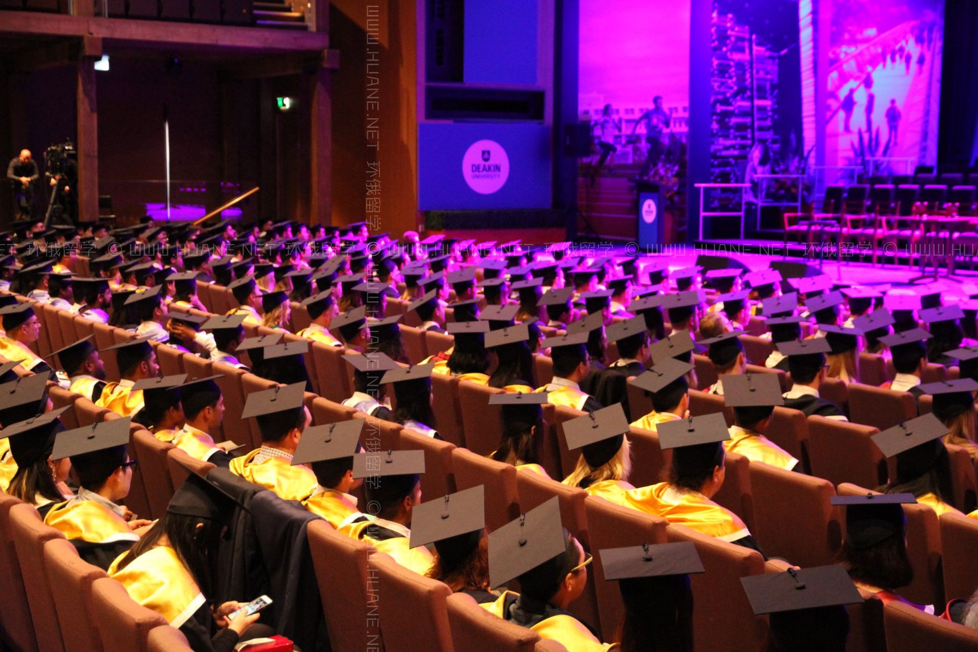 迪肯大學