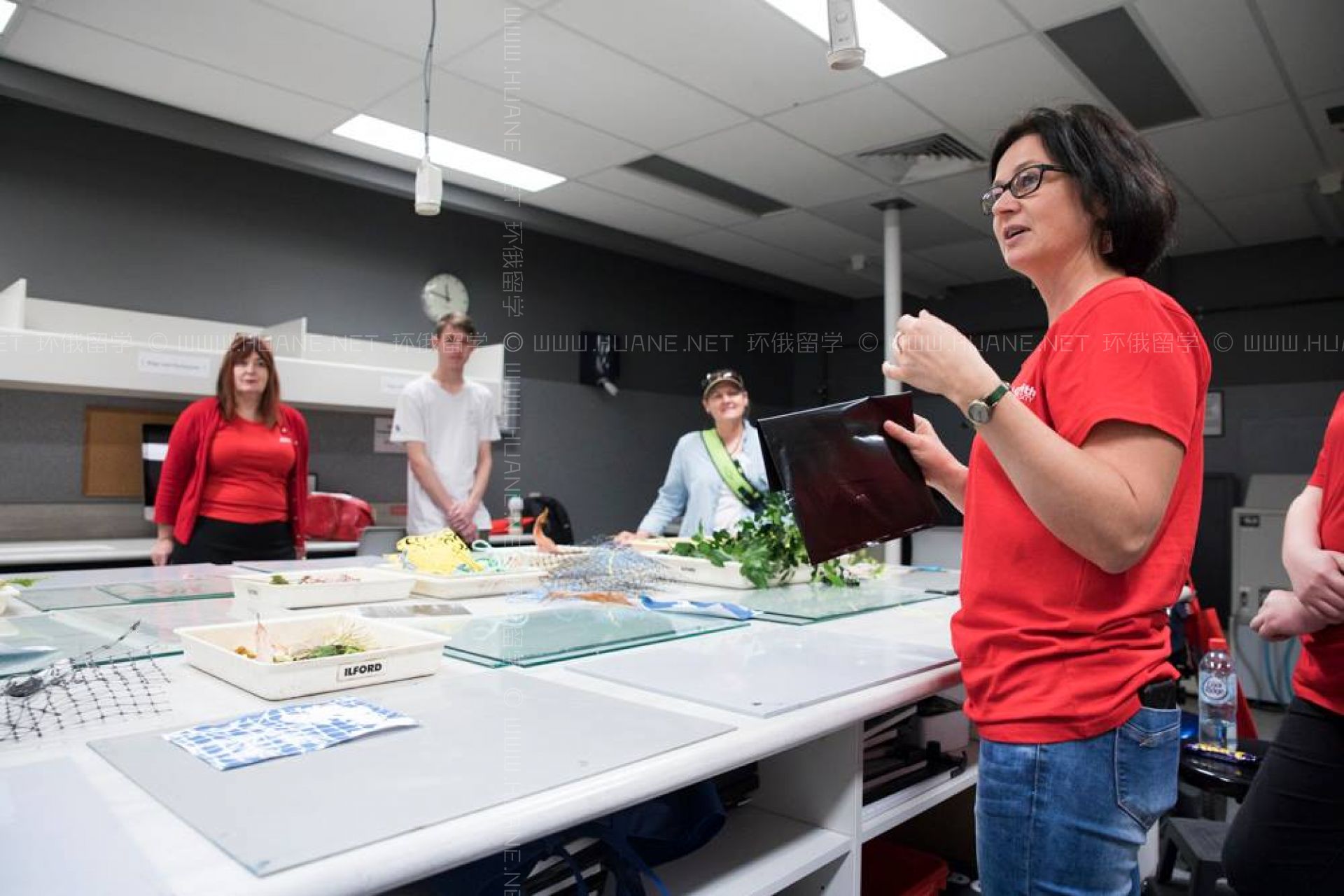 格林菲斯大學