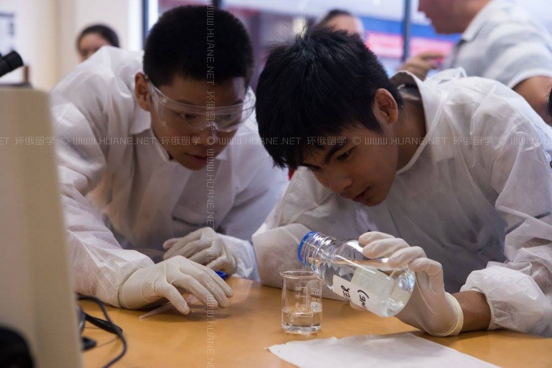 格林菲斯大學