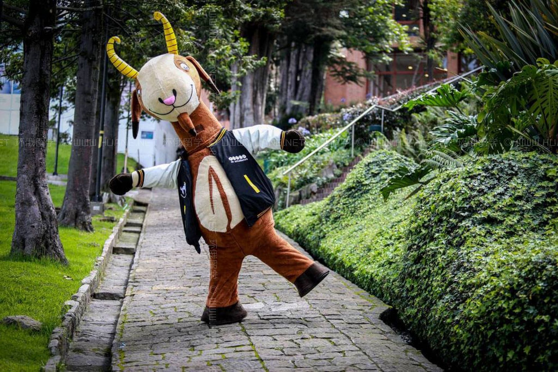 安第斯大學