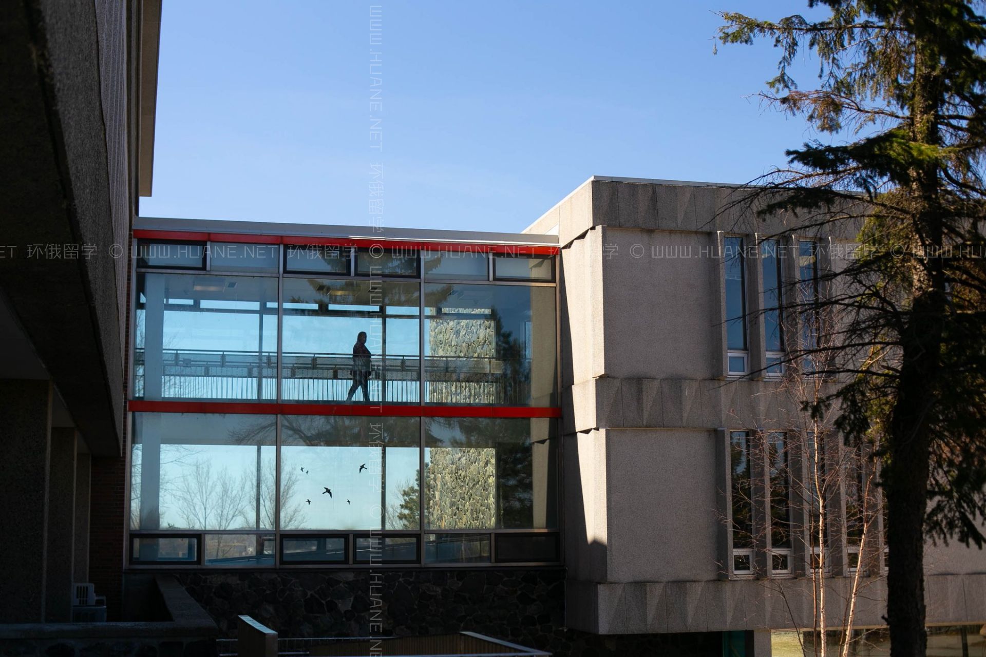 勞倫森大學