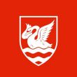 白金漢大學