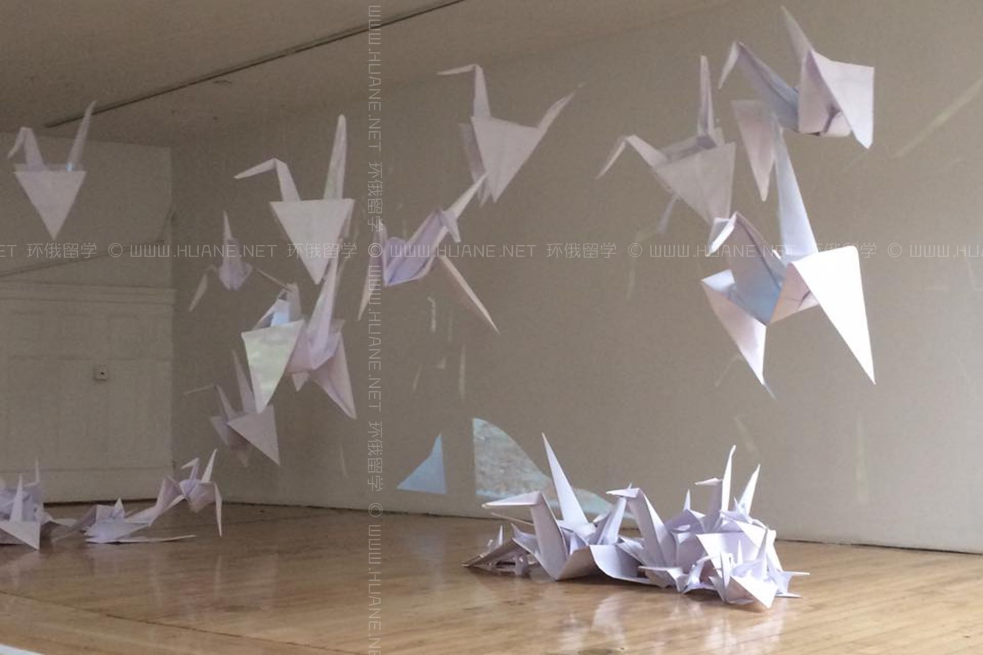 紐約大學藝術(shù)系