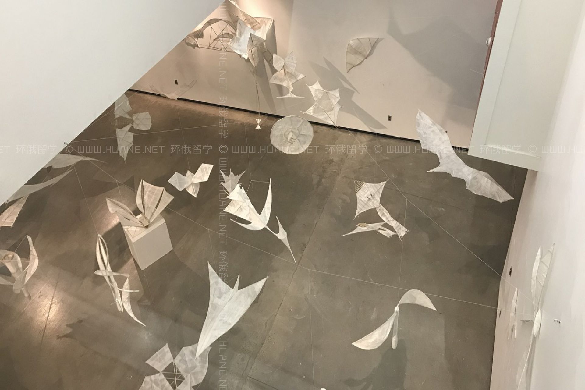 加州州立大學(xué)長(zhǎng)灘分校藝術(shù)系