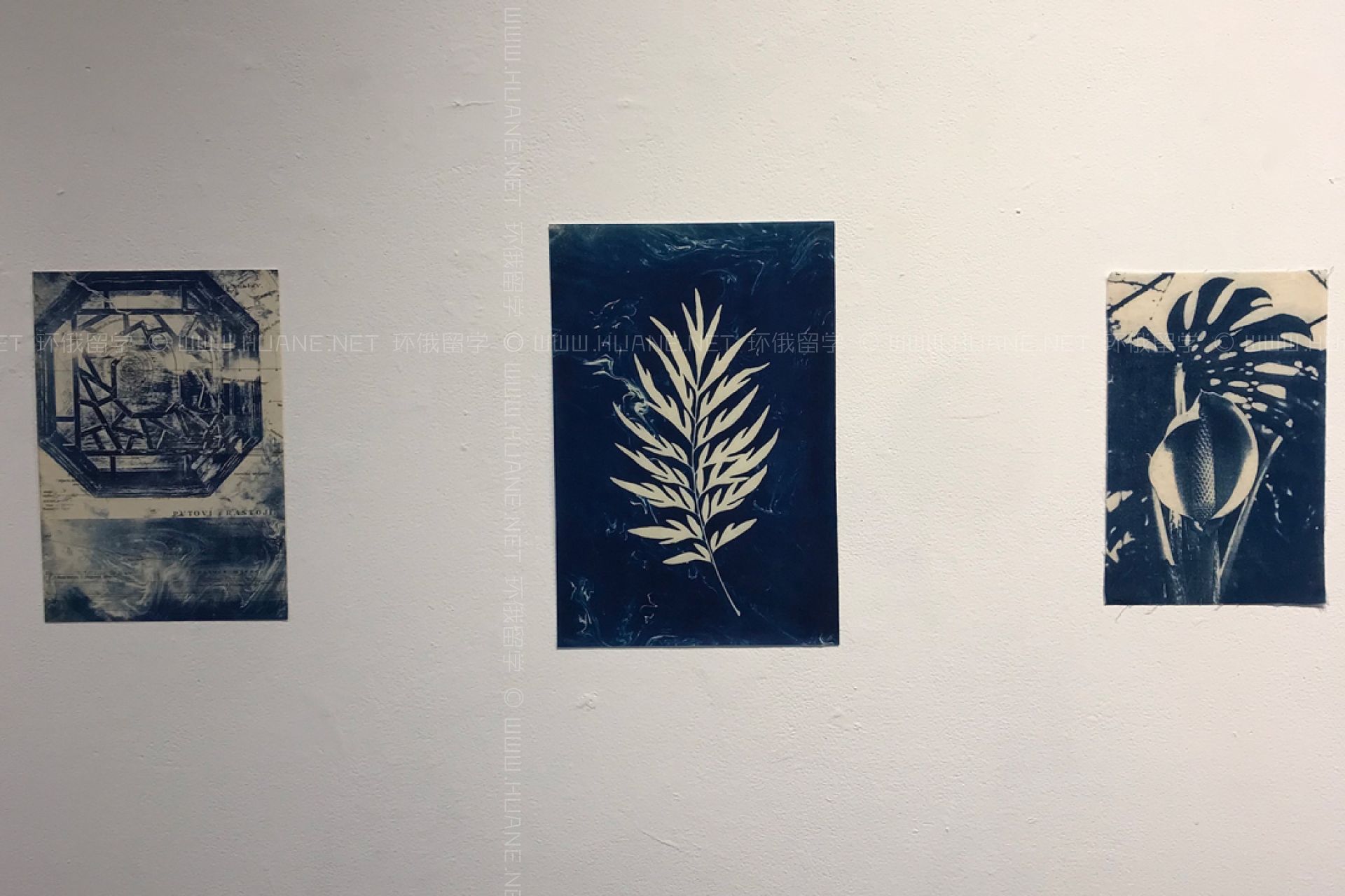 加州大學圣塔芭芭拉分校藝術系