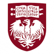 芝加哥大學視覺藝術系