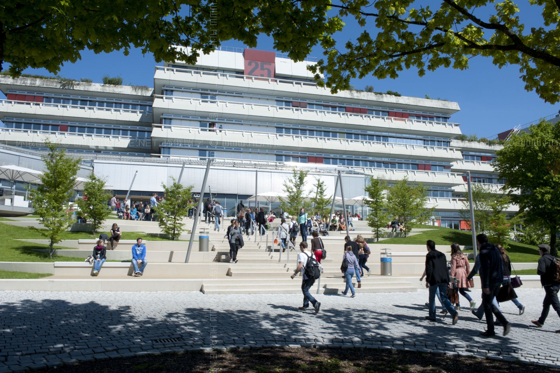 烏爾姆大學