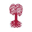 蒂賓根大學(xué)