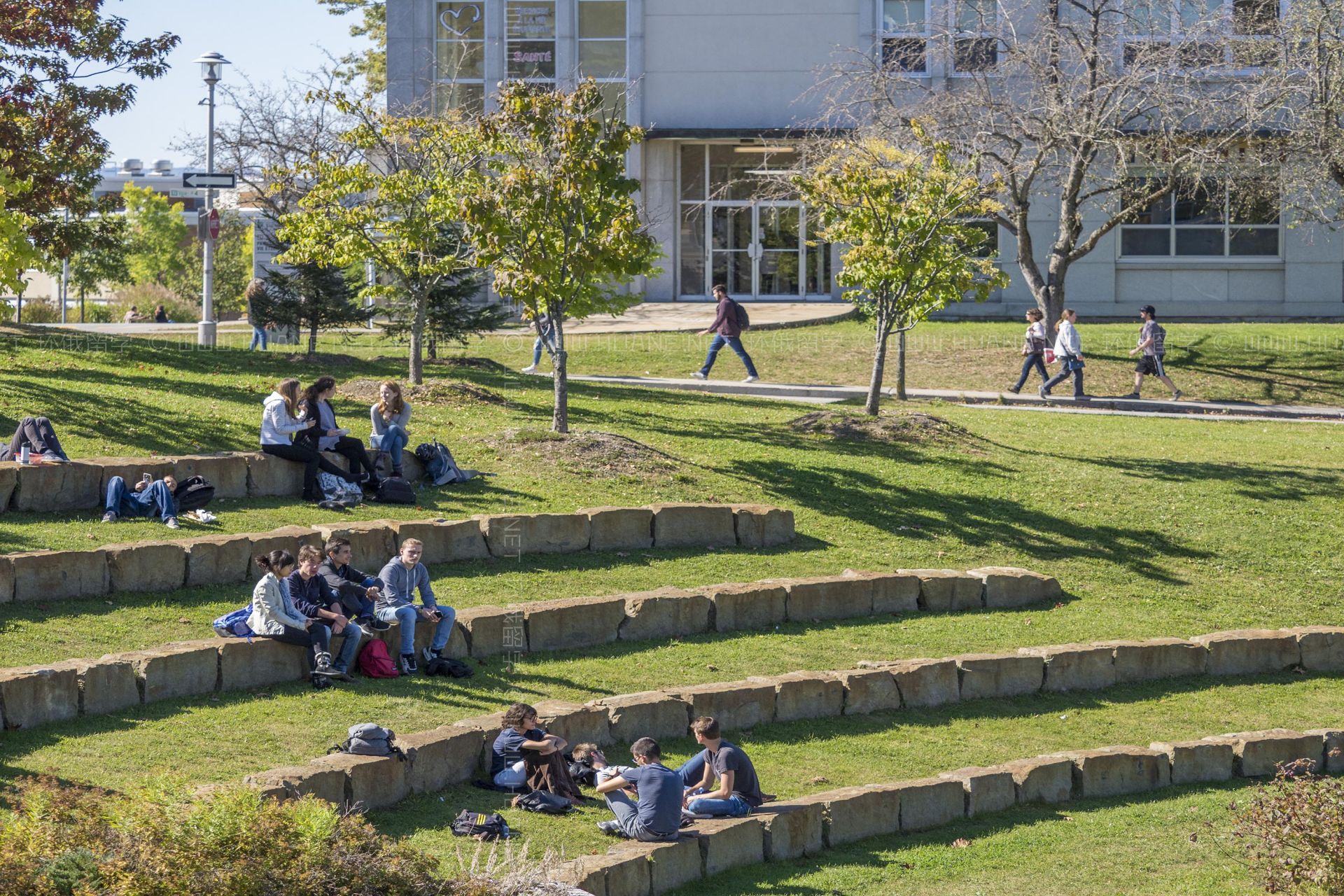 舍布魯克大學
