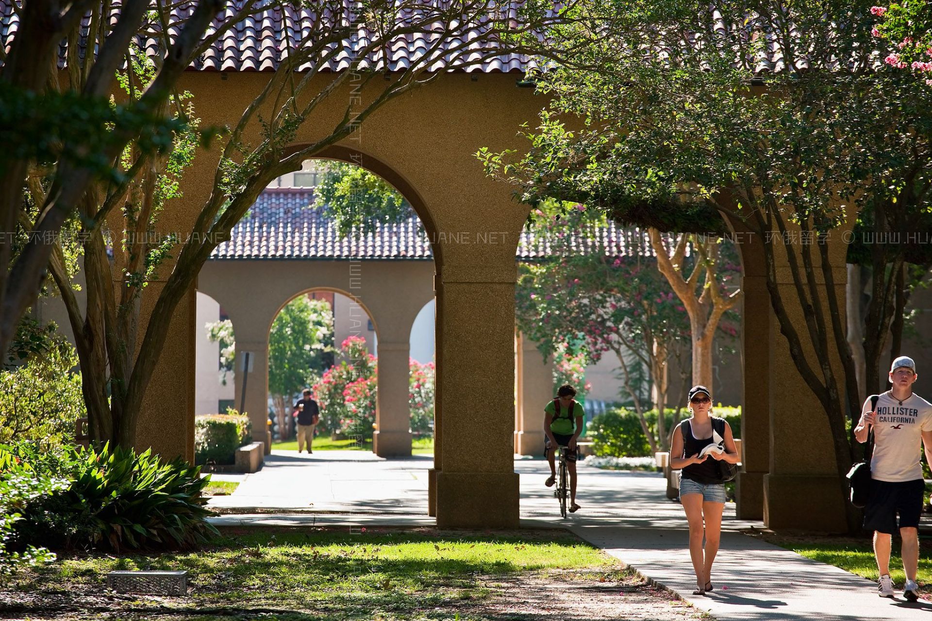 路易斯安那州立大學(xué)